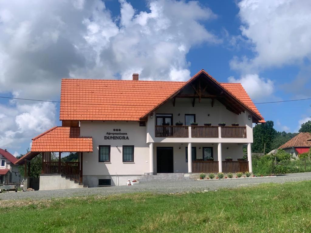 Agropensiunea Duminora Lăschia Exterior foto